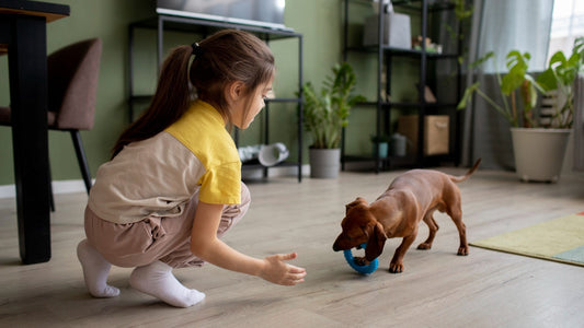 Top 10 Tips for Training Your New Puppy Successfully